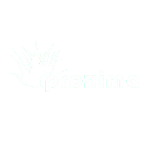 Proxima Group
